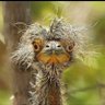 Getswala's profile picture