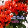 Panna Bhattacharjee 的头像