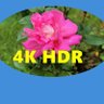4k HDR VIDEO's profile picture
