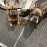 Sam M profil fotoğrafı