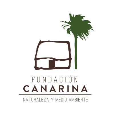 FundacCanarina's profile picture