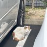 とさみ profil fotoğrafı
