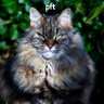 ∞ profil fotoğrafı