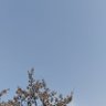 anava profil fotoğrafı