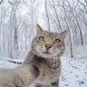Фото профиля ooooo7