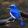HARENOHI profil fotoğrafı