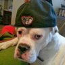 Profilbild von Thurgood L