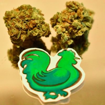 Elgalloverde420's profile picture