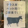 Noc 的头像