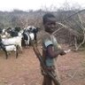 I matola's profile picture