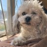 JDub44's profile picture