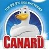 LeCanard76 profil fotoğrafı