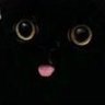 Profilbild von Fitz