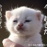 むくろ's profile picture