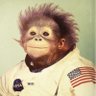Фото профиля SpaceMonkey ヤバイ 世の中