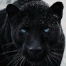 Flora's profile picture