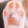 水野@肉球LOVE profil fotoğrafı