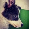 杨小贱 的头像