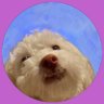 Dr. Parissa Isabelle ⚕'s profile picture