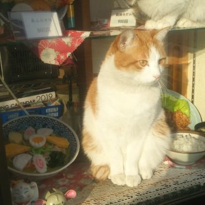 そば処大むら ペタコンちゃんねる's profile picture