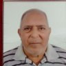 Nadia Rashad's profile picture
