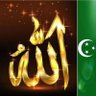 Profilbild von ahmdawwad378@gmail.com