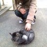 Kanae profil fotoÄrafı