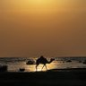 Profilbild von ‏توفيق أبو حوسة