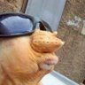 Woj Wol profil fotoğrafı