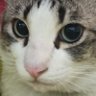 Max profil fotoğrafı