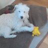 josie brendle profil fotoğrafı