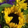 Фото профиля Bennysmama🌻🇺🇦🌻