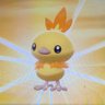 ポケ吉かっちゃん 的头像