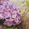 Hortensia profil fotoğrafı