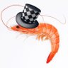 Shrimp profil fotoğrafı