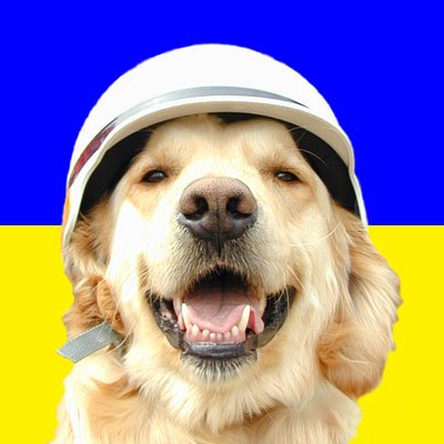 doghetaro's profile picture