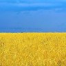 abstract_class_🇰🇿🇺🇦💙💛's profile picture