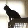 ichigo!'s profile picture
