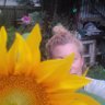 Profilbild von 🌱Pene🤿🌻🐝🦀🦈🐋🦑🐔🦆