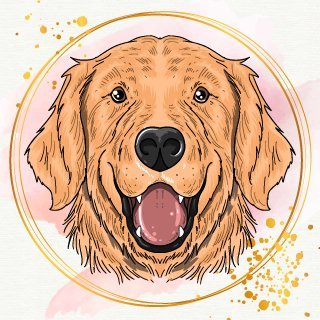 Golden Retriever Lover Zone's profile picture