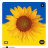 Patsfan6290 🇺🇦☮️ 🟧's profile picture