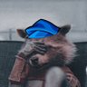 Profilbild von RocketCooper |🦝 CooperCollector💰