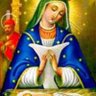 Guarionex paredes's profile picture