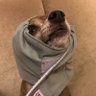Profilbild von Max Wins