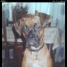 Фото профиля Véro Large