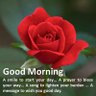 Profilbild von Abid Ali 2972