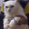 Profilbild von ???