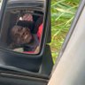 Olusola profil fotoğrafı