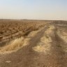 Фото профиля سوداني حزين علي وطنو