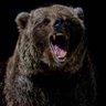 Фото профиля Mike 'Urso37' Bradley